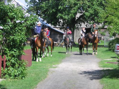 polinów 2006 041