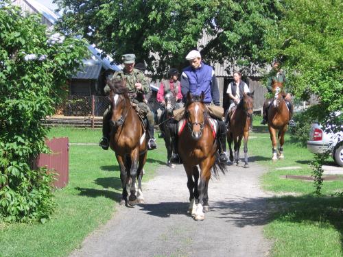 polinów 2006 042