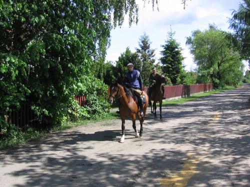 polinów 2006 043