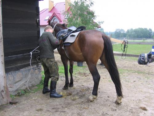 polinów 2006 045