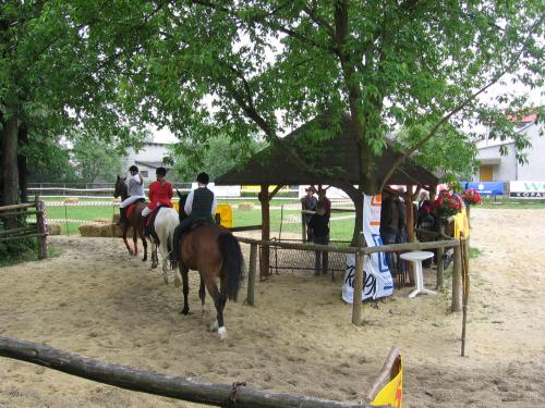 polinów 2006 086