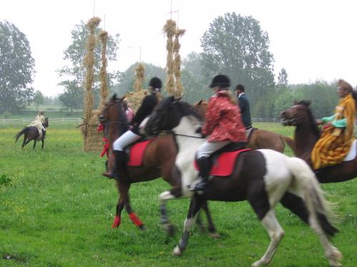 polinów 2006 100