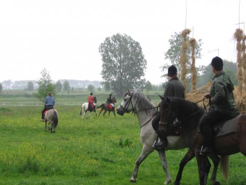 polinów 2006 103