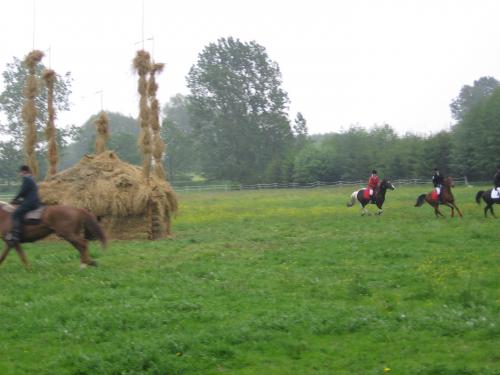 polinów 2006 104