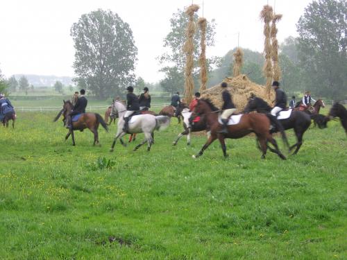 polinów 2006 105